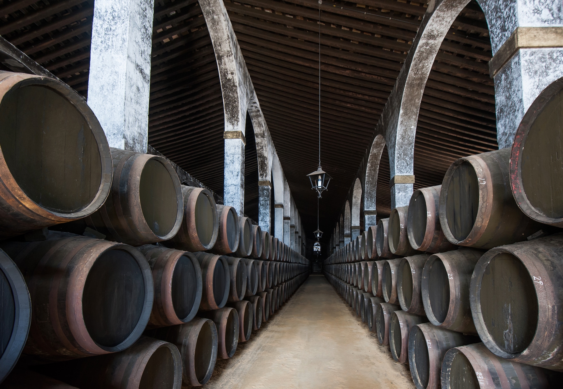 Les magnifiques barriques de vin