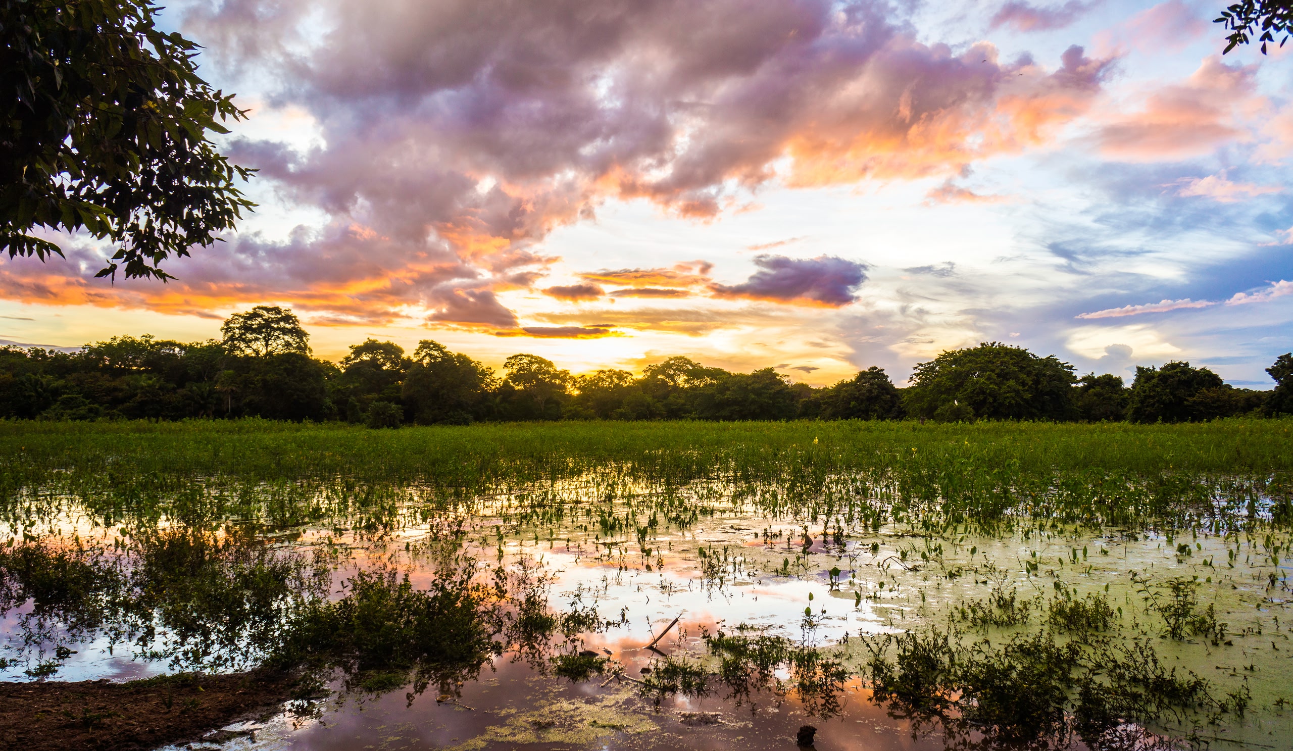 Take a day trip from Darwin to Litchfield