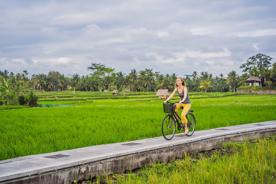 bicycle on a rice field in Ubud, Bali