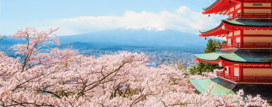 A picture of Fujiyoshida Sengen Shrine next to some cherry blossom trees