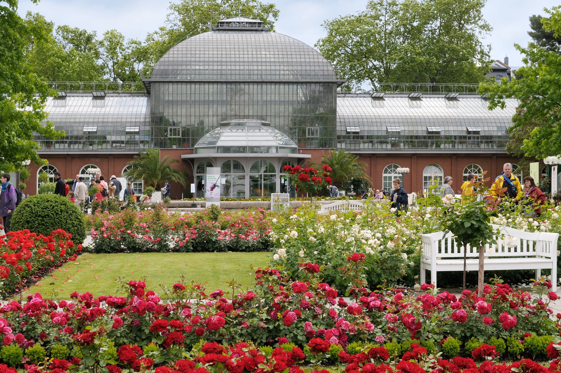 Der Palmengarten in Frankfurt