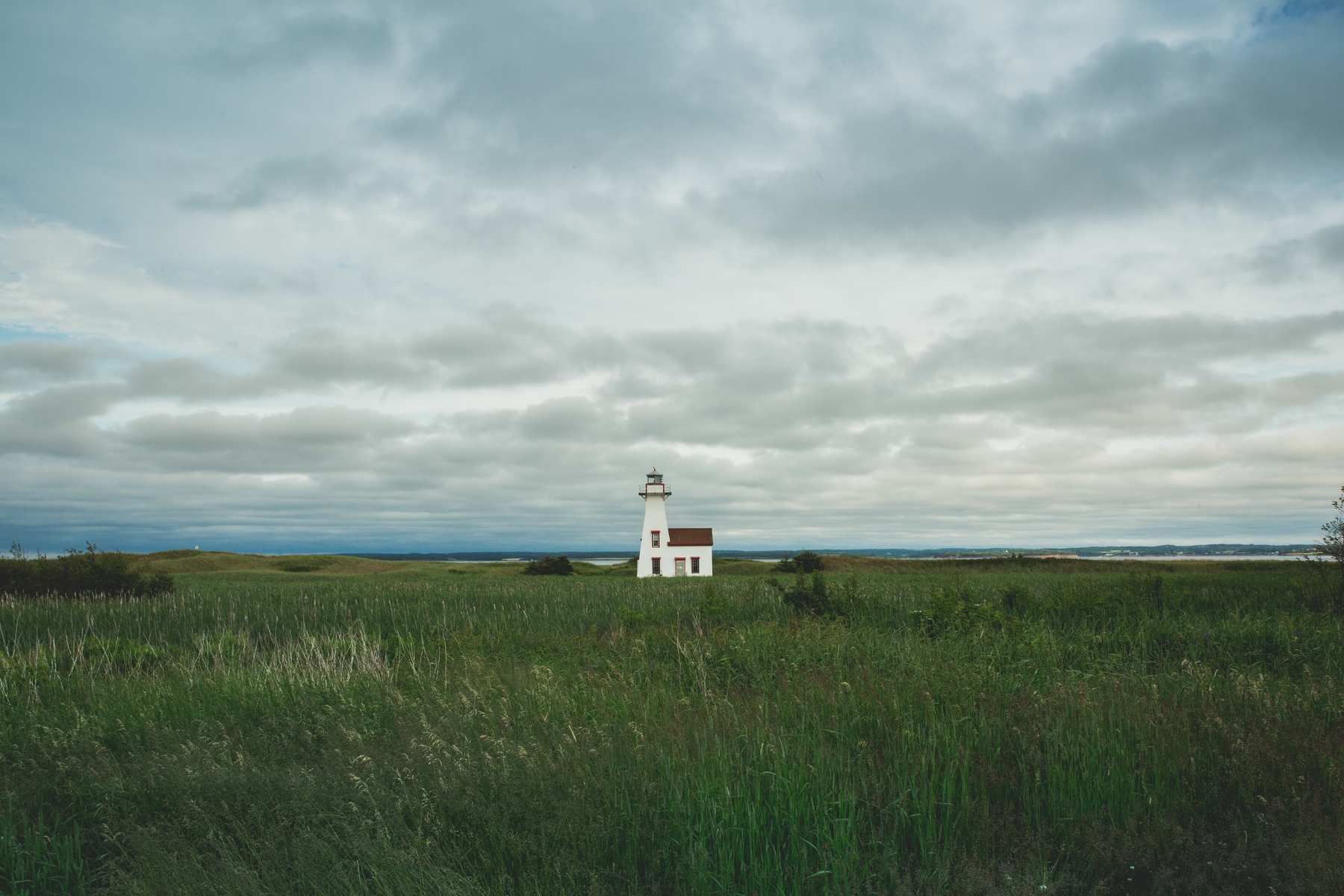 A green field of grasses with a white lighthouse in the center.