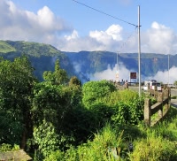 green trees and mountain