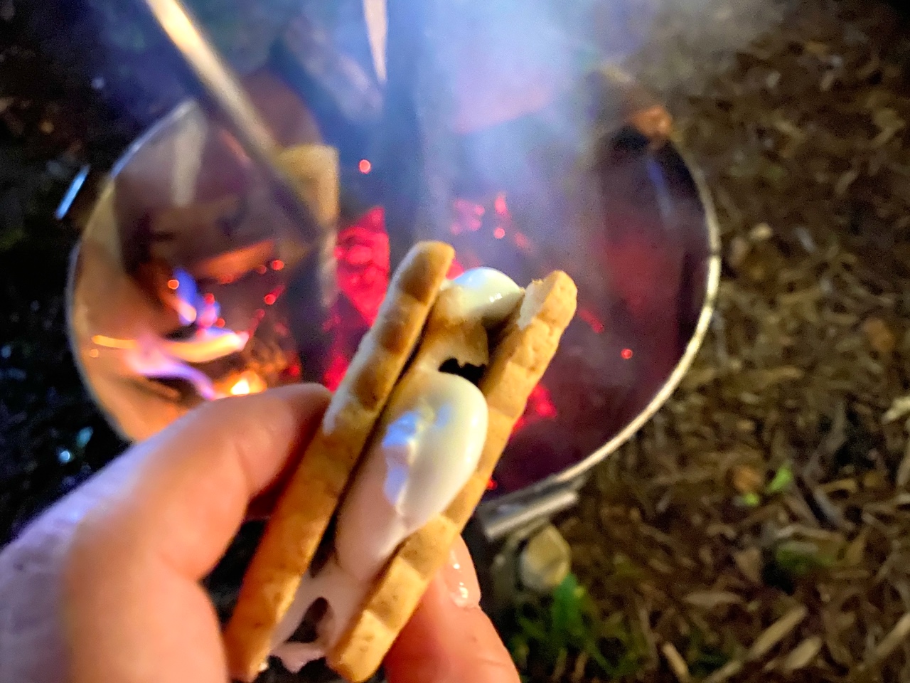 長野県 白馬村 「白馬東急ホテル」デザート スモア