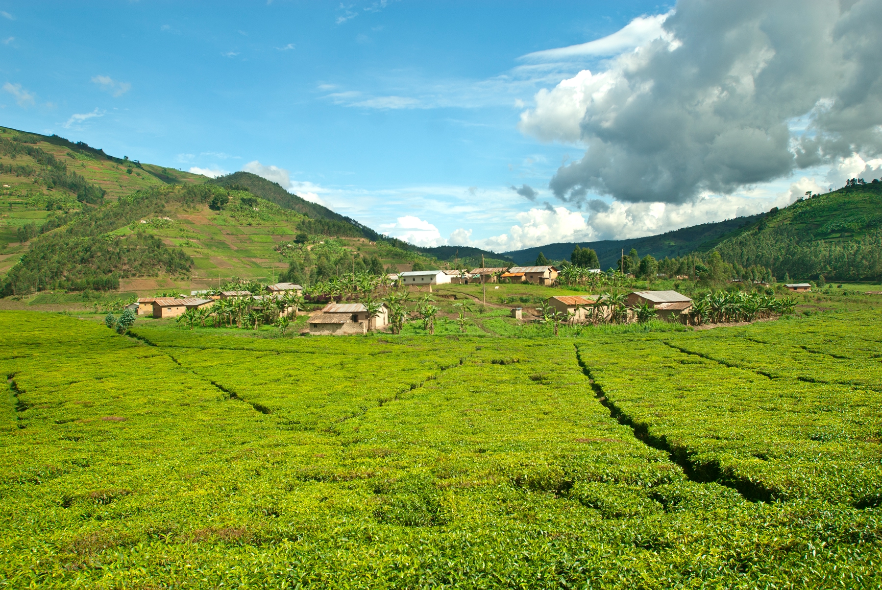Países más grandes: Paisaje en la República del Congo