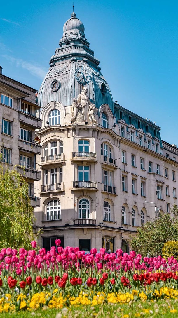 Sofia
