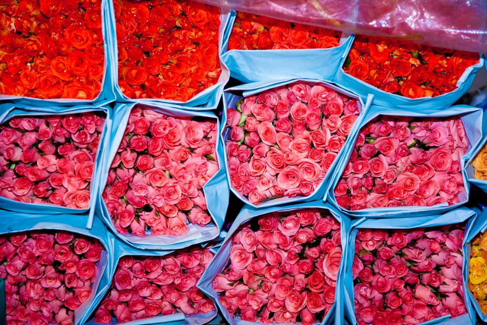 Bouquets of red roses on display.