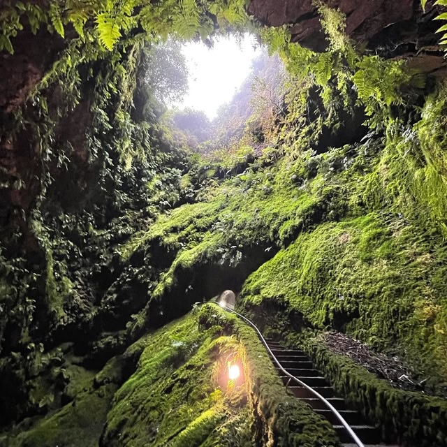 Forest cave in the Azores, Portugal