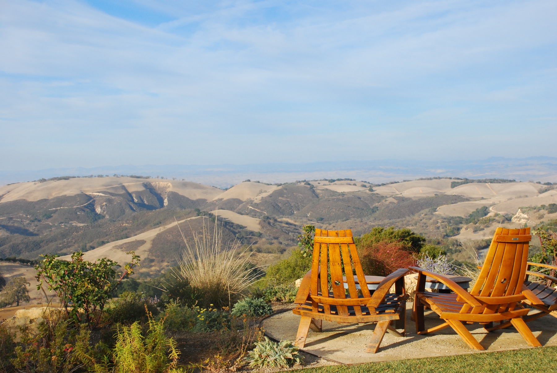 view at a Paso Robles winery, Central California wine county on a sunny day.