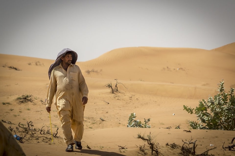 Woestijn Egypte