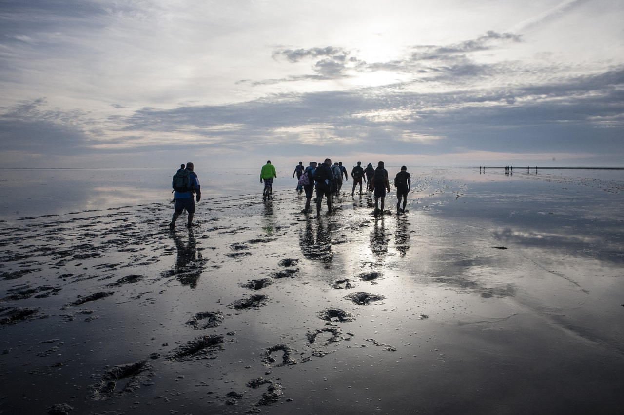 Wadlopen Groningen