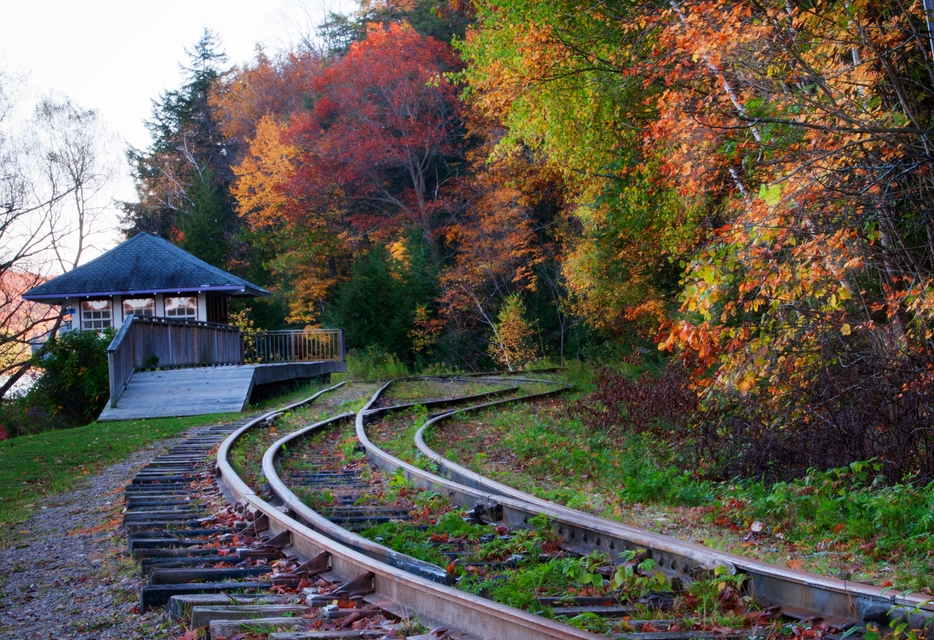 polar bear express train tracks in Ontario