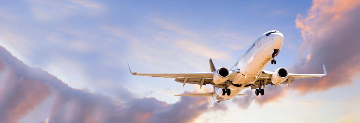 AIR MILES Rewards Ways to Redeem and More Skyscanner Canada