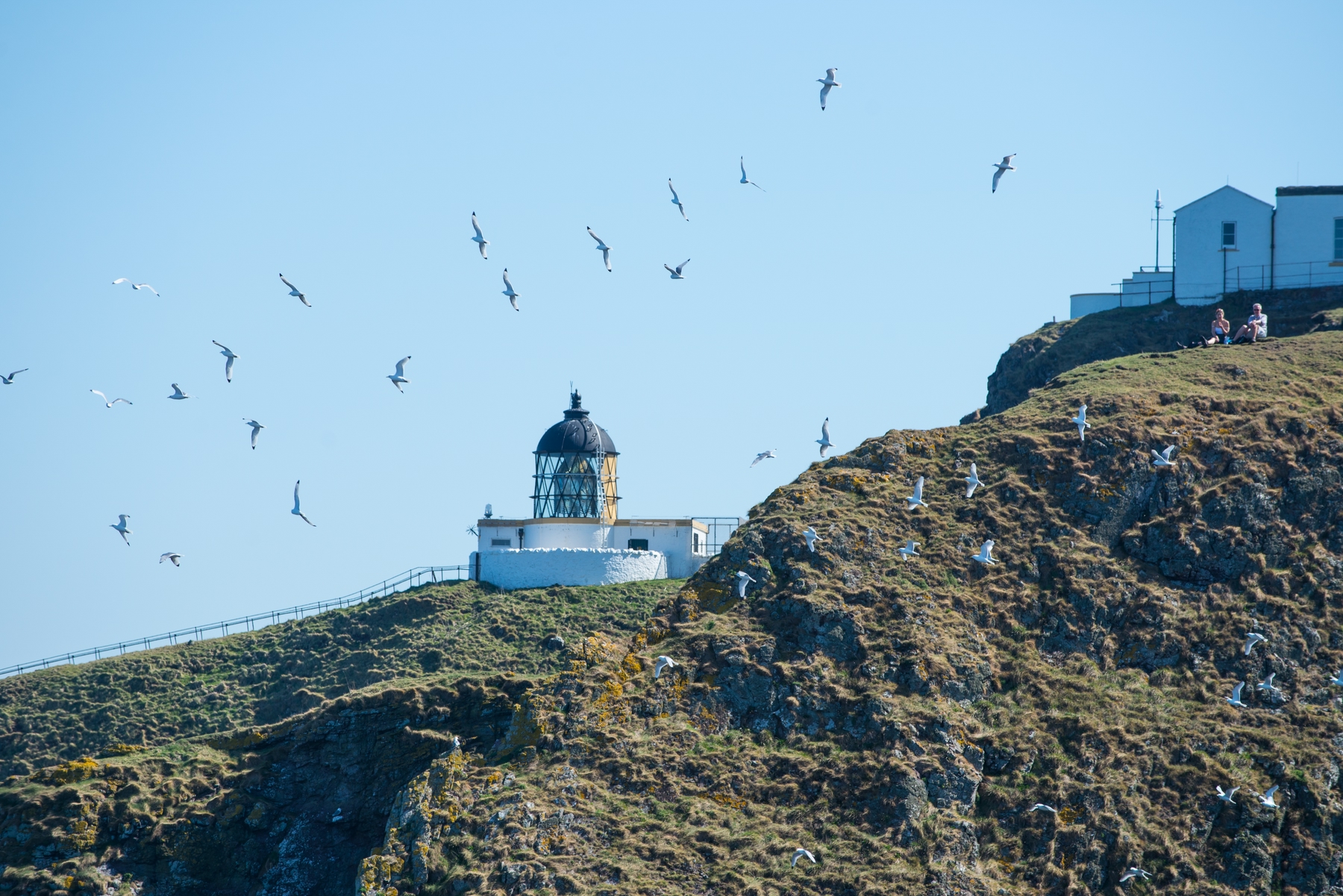 St Abbs is a must-visit during a trip to Scotland