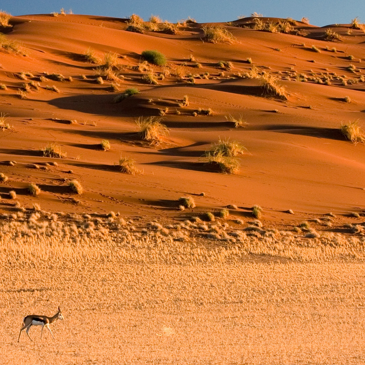 Die schönsten Reiseziele Afrikas: Namib-Wüste, Namibia