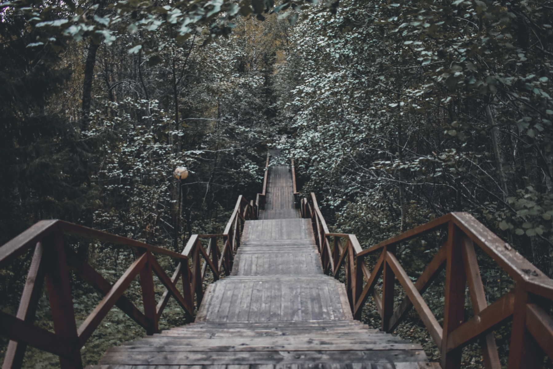 Лестница к водопаду Кивач — отдых в Карелии летом