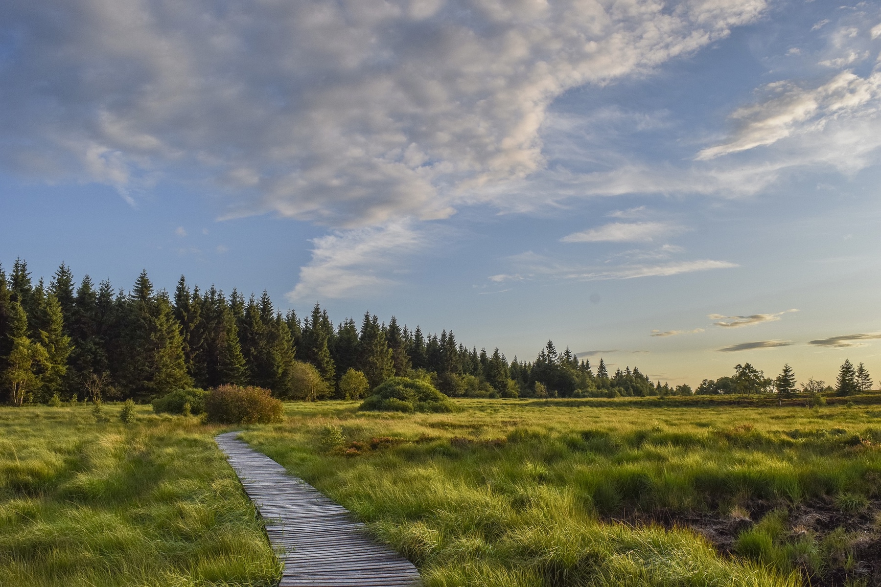 Es gibt zahlreiche Wanderwege in der Eifel
