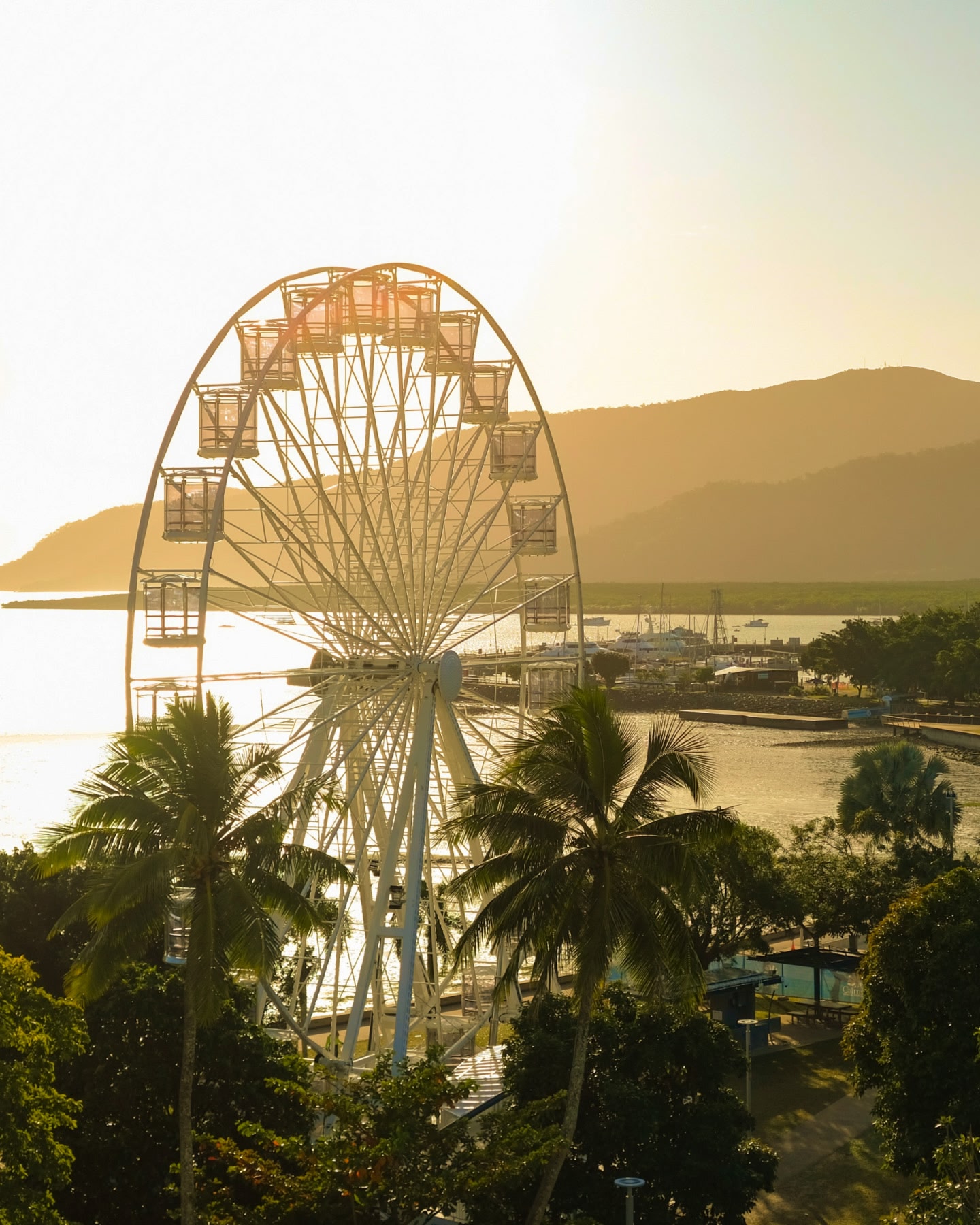 Silhouetted Ferris wheel spins near palm trees and a golden coastline in Cairns.