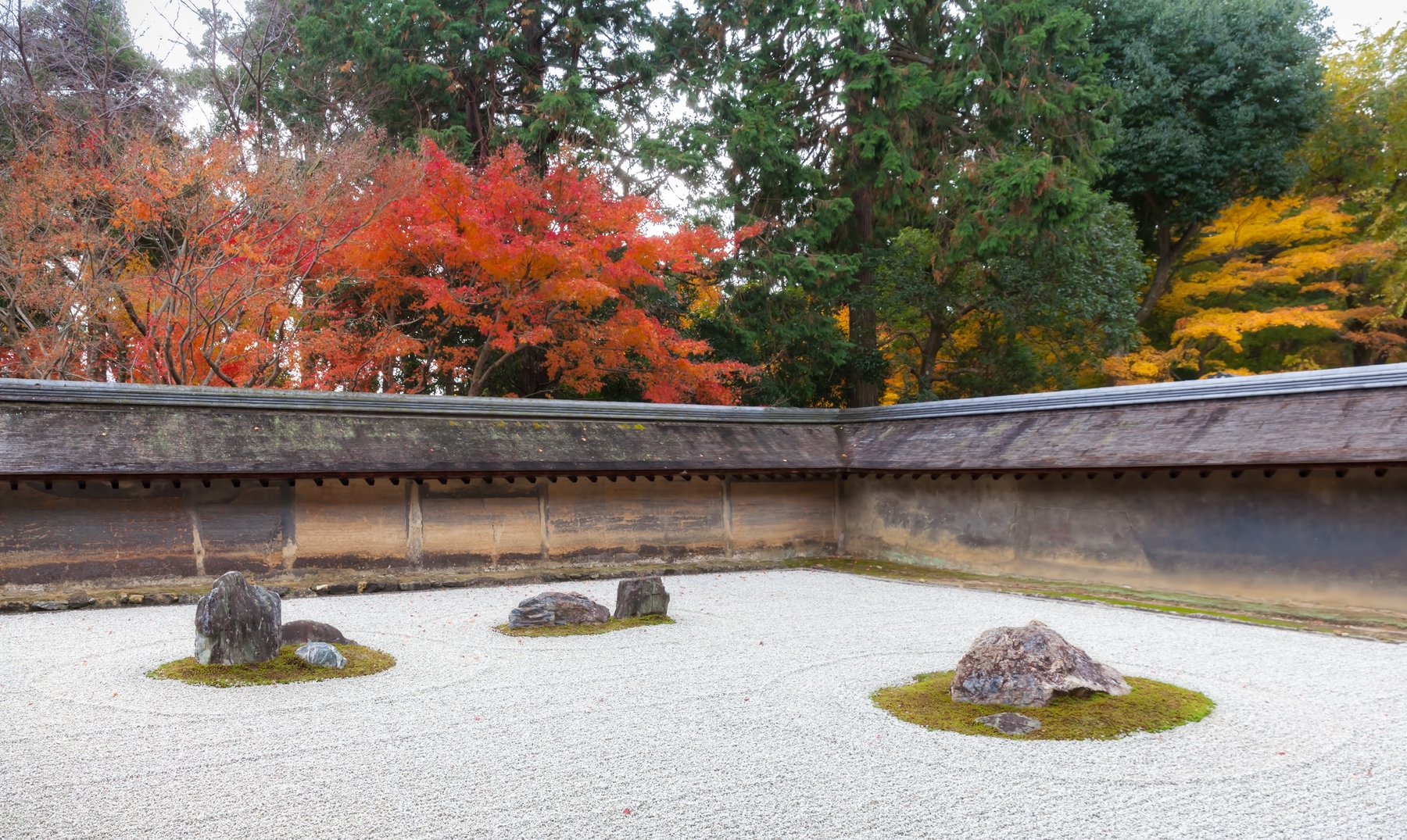 龍安寺 石庭