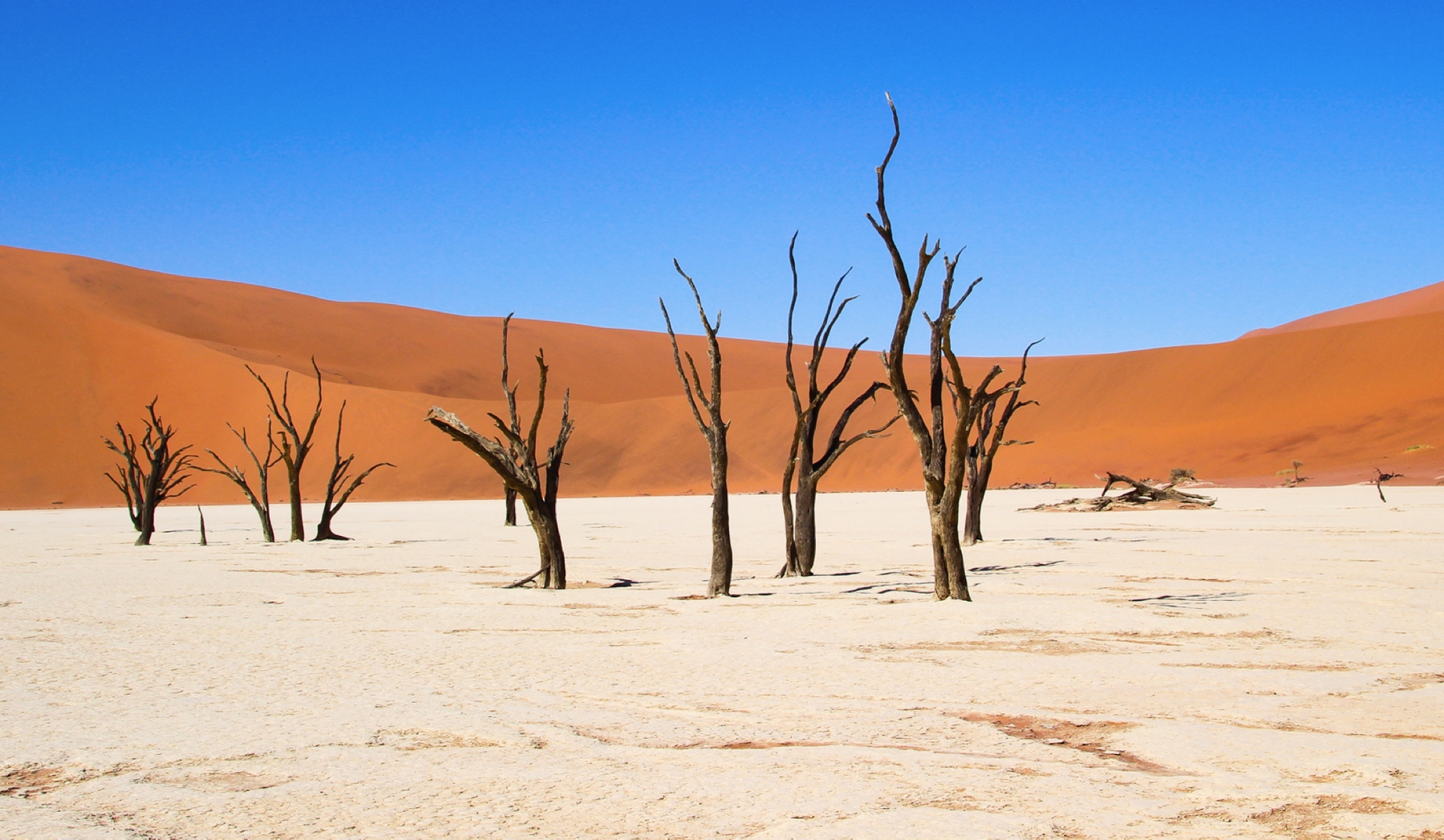 Deserto da Namíbia, um dos países abertos para turistas brasileiros.