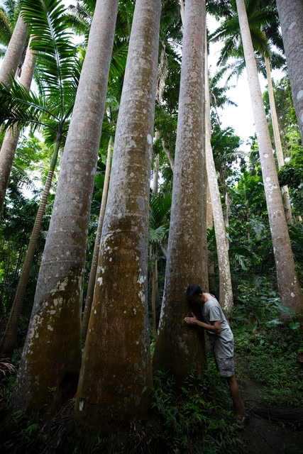 Barbados praktiziert Nachhaltigkeit
