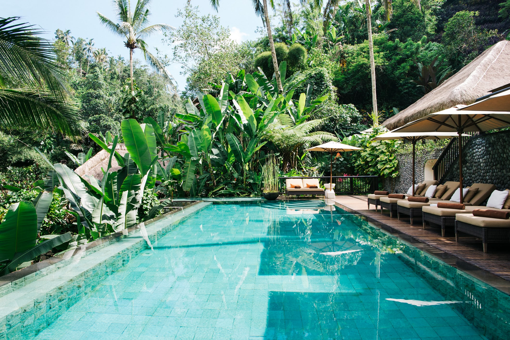 Swimming pool surrounded by palm trees in a hotel in Bali.
