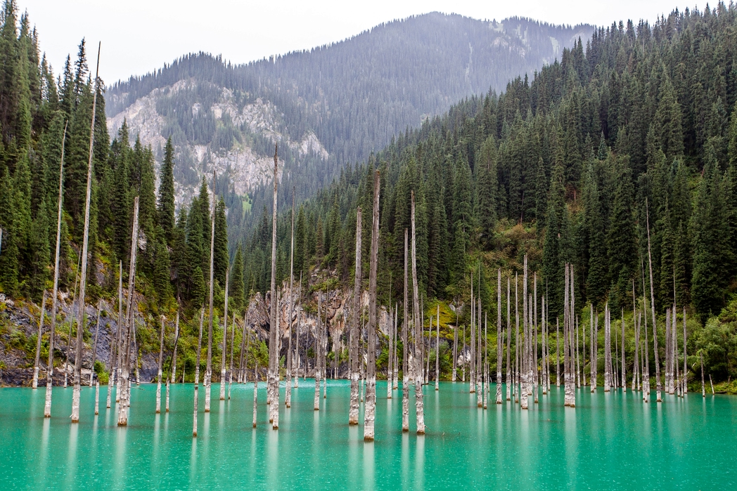 kazakistan doğa