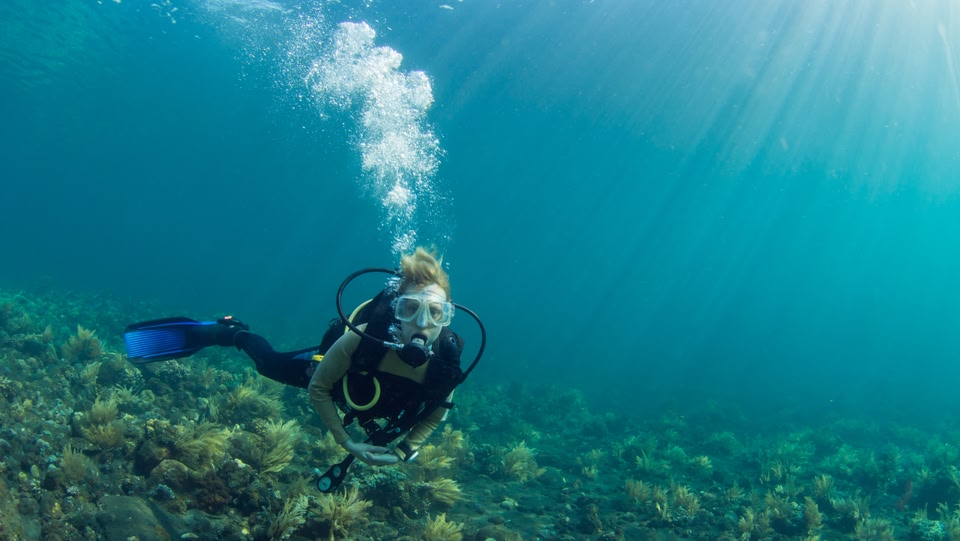 an image of a scuba driver 