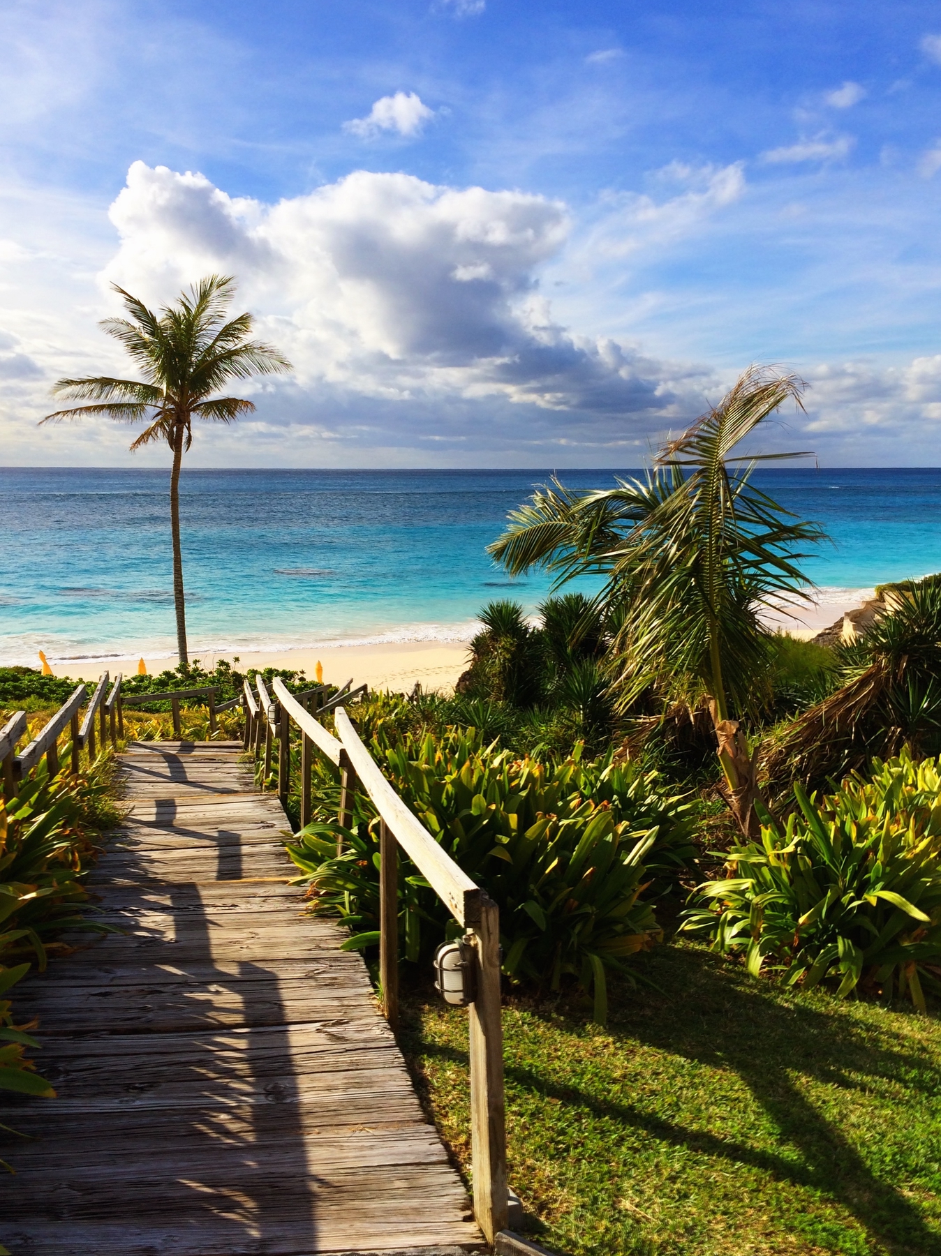 Sand, sea and palm trees in sunny Bermuda