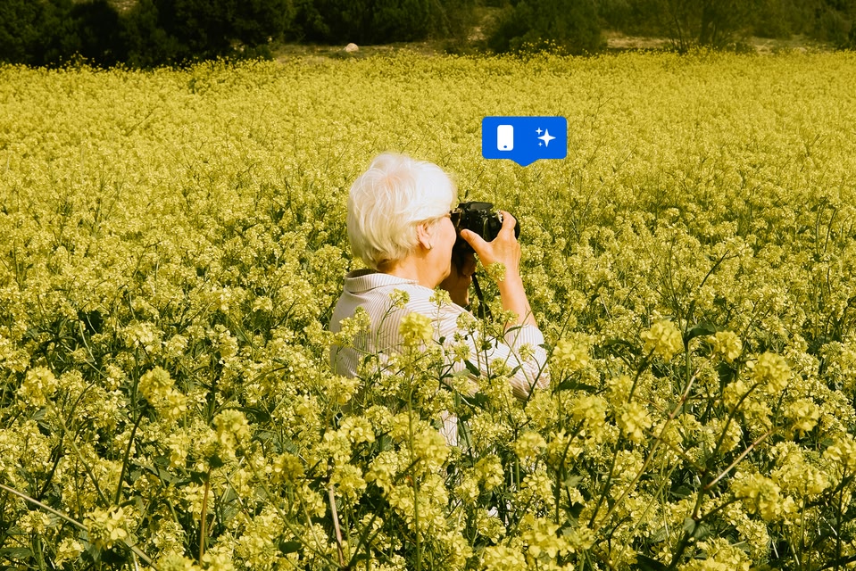 Aplicaciones móviles de fotografía útiles para tus viajes a destinos de flores - Skyscanner. 