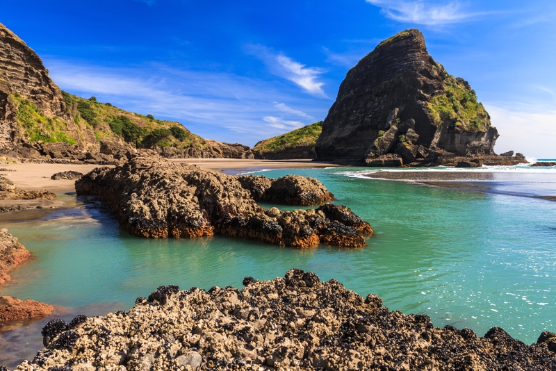 Beach in Auckland