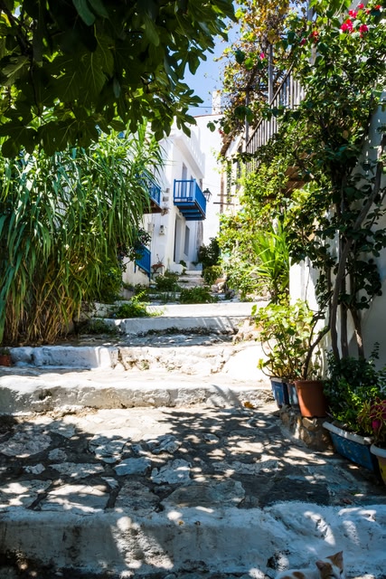 Ασβεστωμένο νησιωτικό δρομάκι.