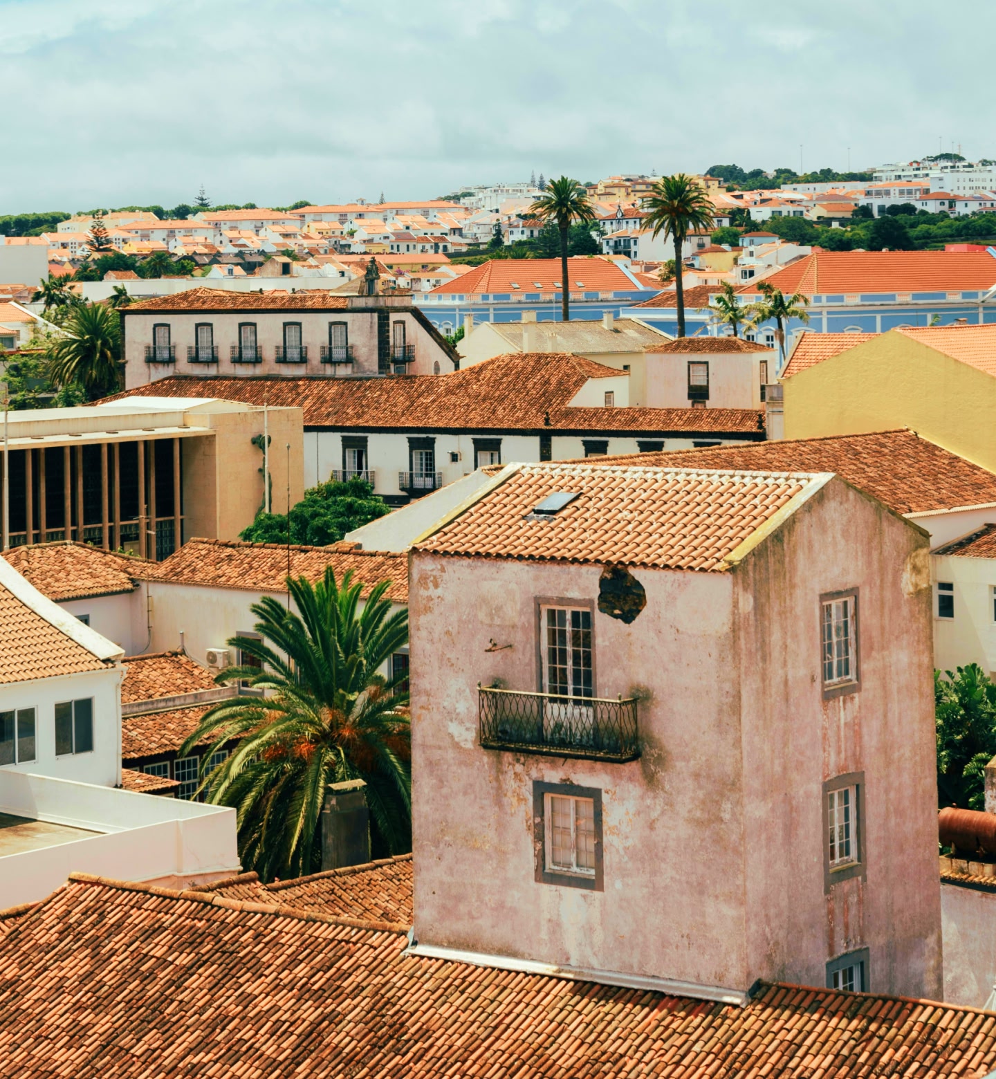 Rooftops and palms mingle on a skyline in Ponta Delgada, Portugal