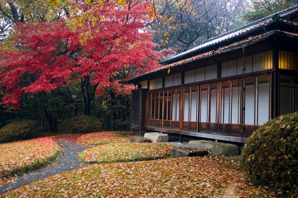 Reisen, die euer Leben verändern werden: Sprachreise in Japan