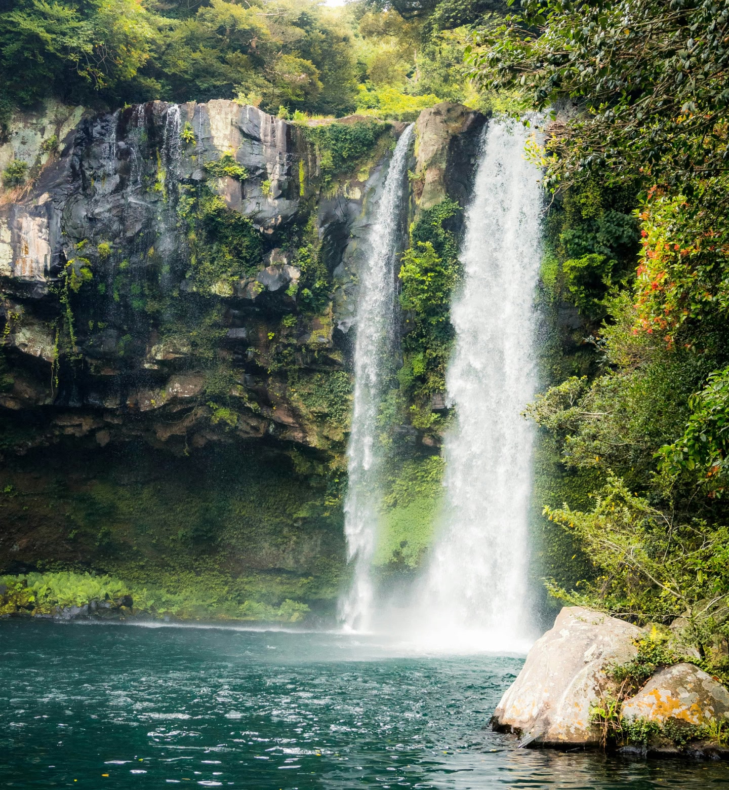 韓国・済州島（チェジュ島）の森の中、ターコイズブルーの滝壺に落下する高い滝。