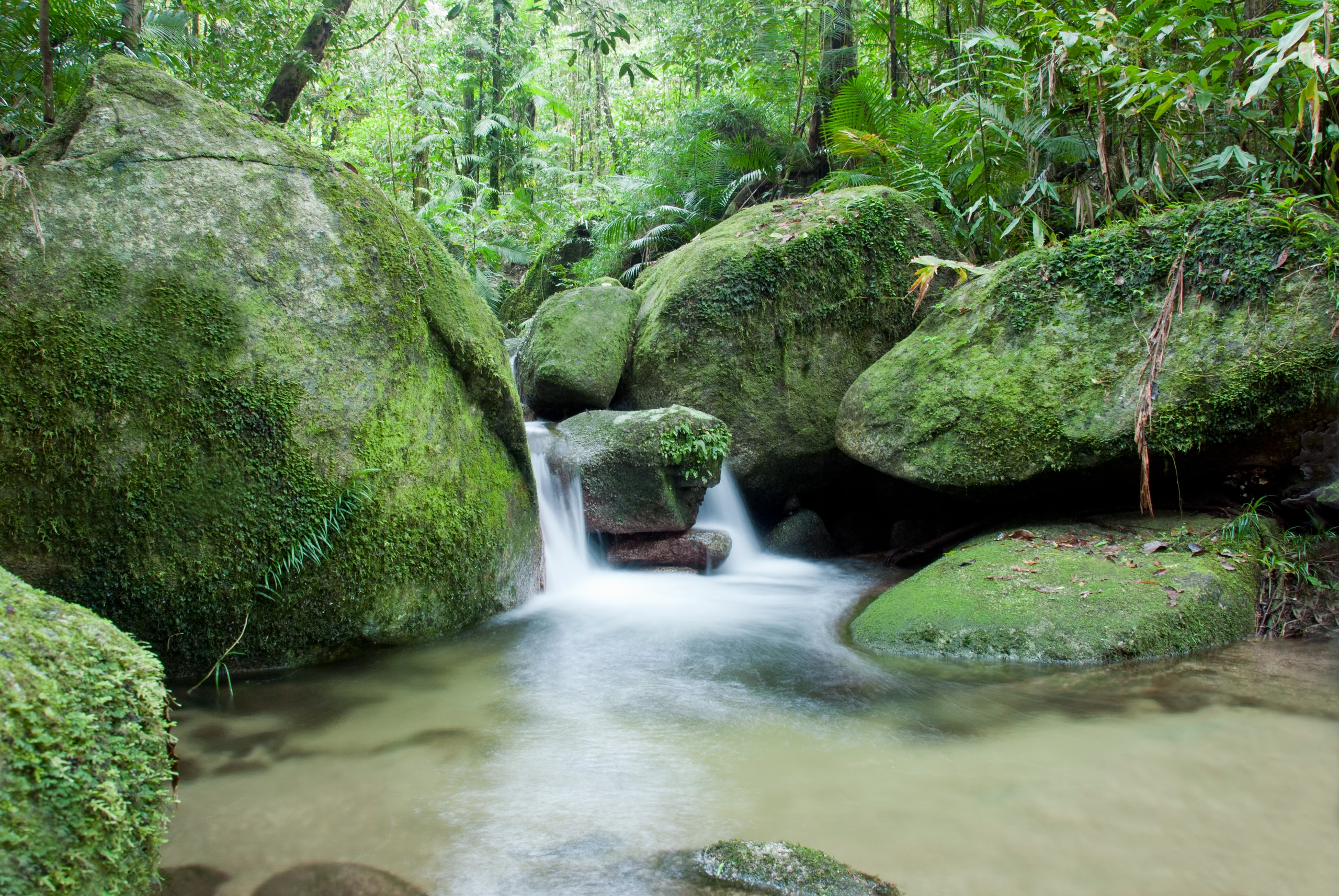 Cairns waterfall and swimming hole