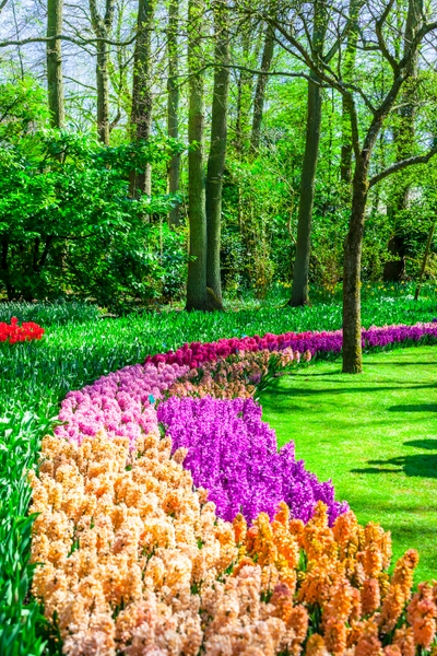 Ολάνθιστο πάρκο Keukenhof