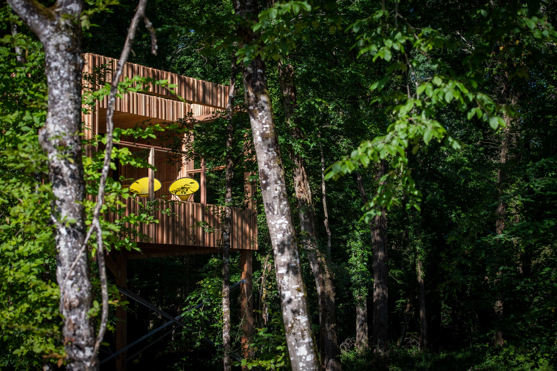 cred: AnneEmmanuelleThion