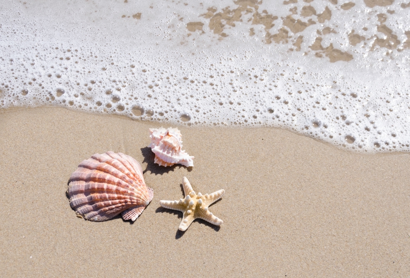 Ungeeignete Souvenirs: Steine, Muscheln