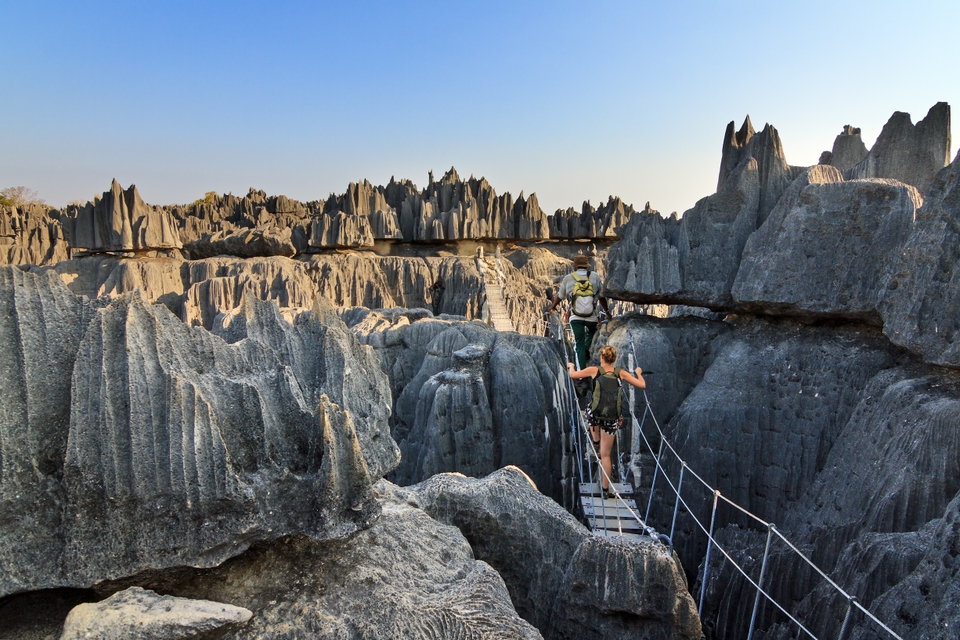 Tsingy de Bemaraha National Park & Nature Reserve Guide