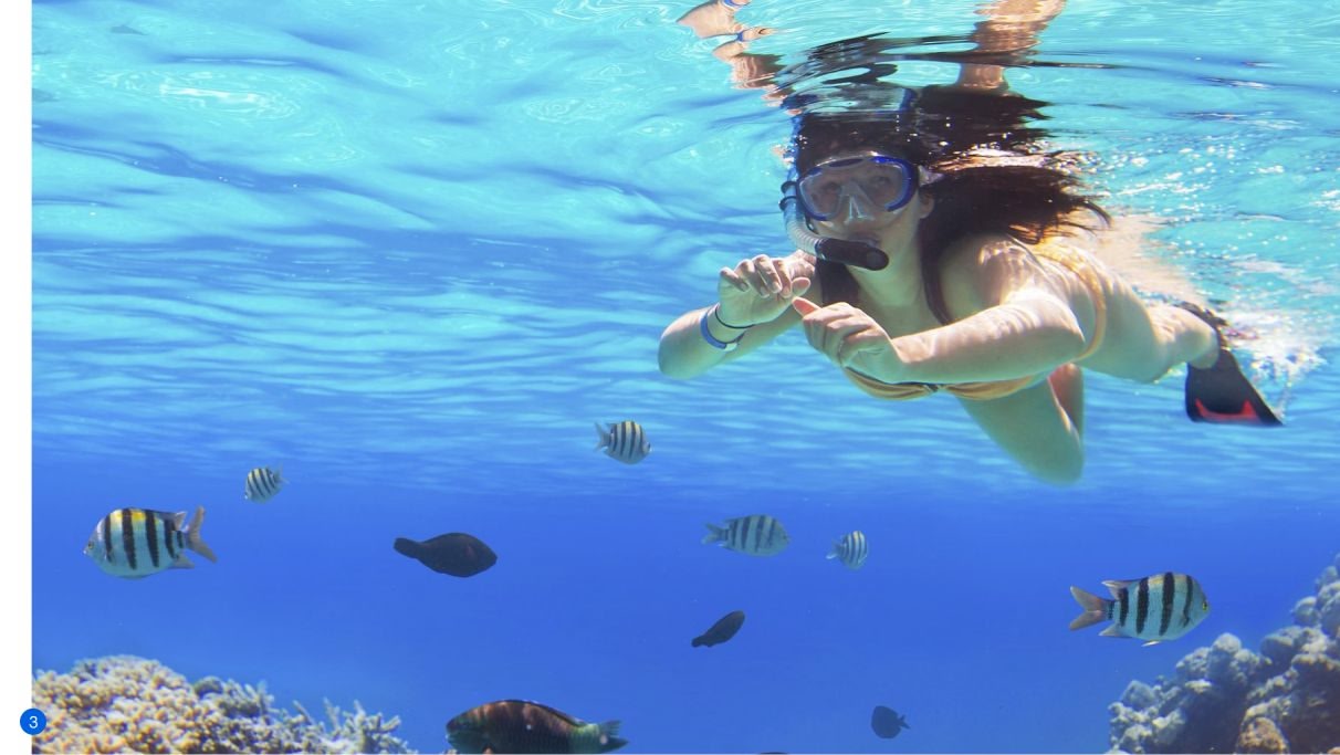 Snorkelling in Turks and Caicos Islands