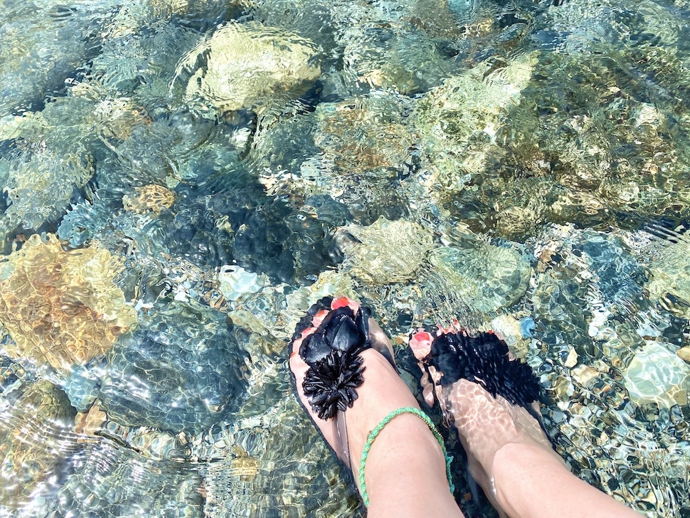 長野県 白馬村 松川