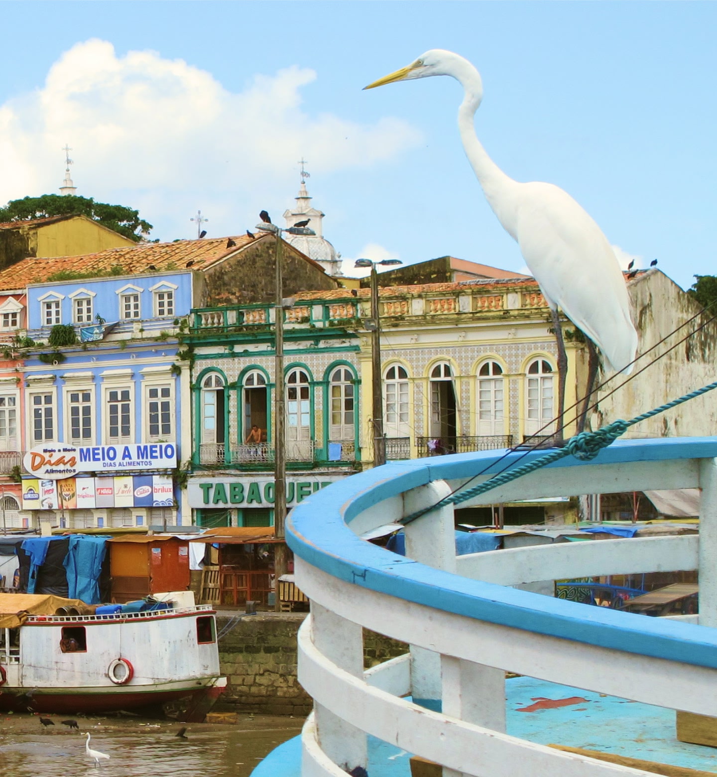 Uma garça branca ao lado de edifícios coloniais coloridos e barcos de pesca em Belém.