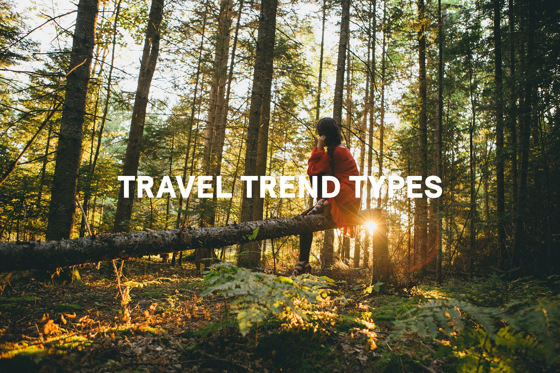 skyscanner travel trends