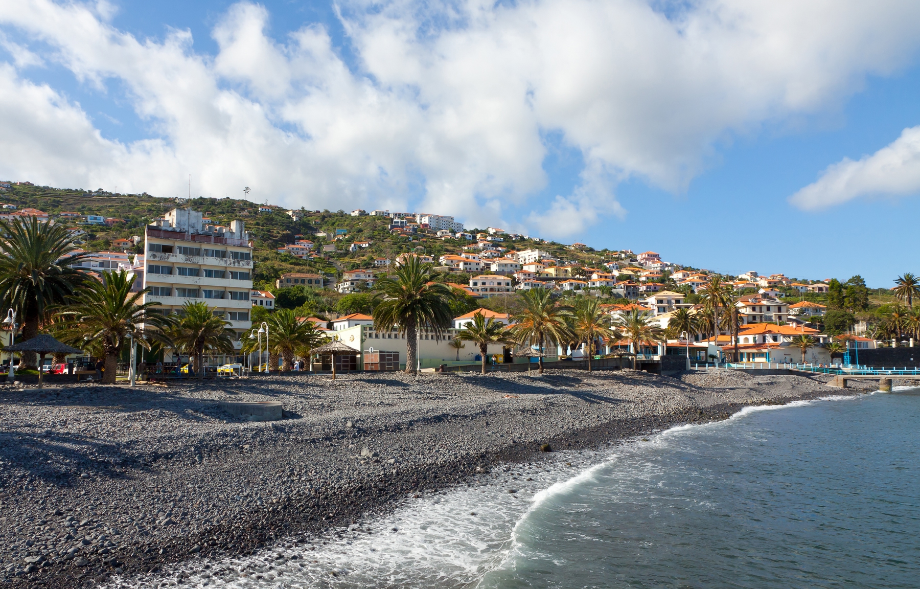 Black sand beach fringed with palm trees and houses in Madeira