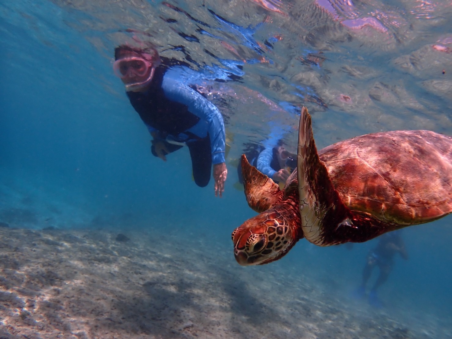 Top secrets of Okinawa: Japan’s island paradise - Skyscanner Malaysia