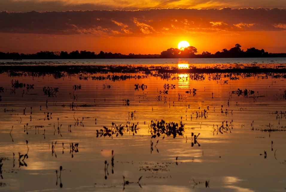 Die schönsten Reiseziele Brasiliens: Pantanal, Mato Grosso & Mato Grosso do Sul