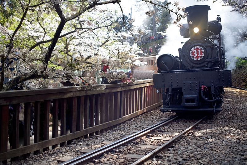 台灣最美第一道曙光-阿里山