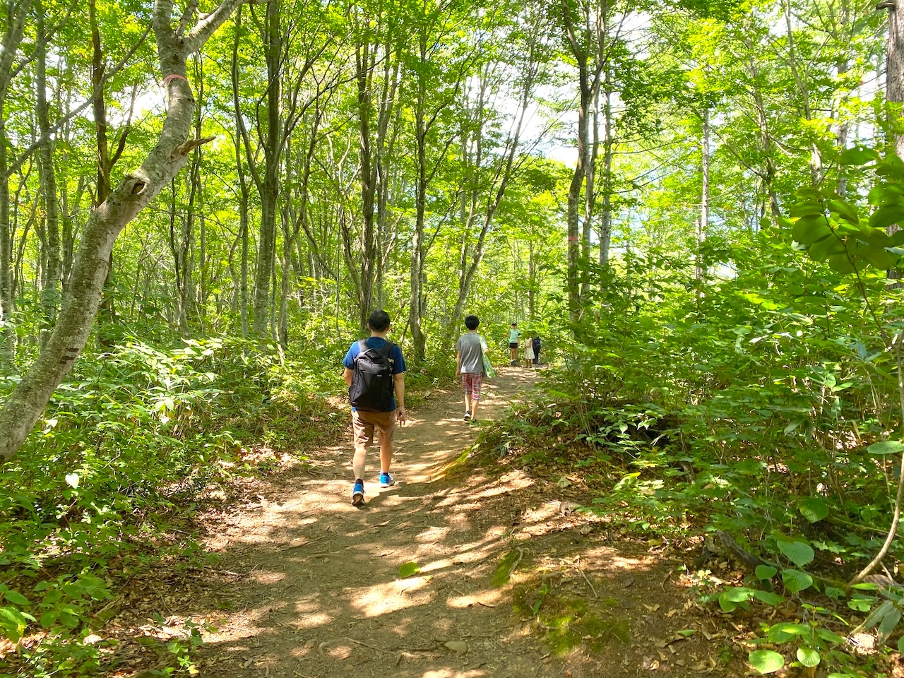 Discover the Secrets of Forest Bathing in Japan Skyscanner Singapore