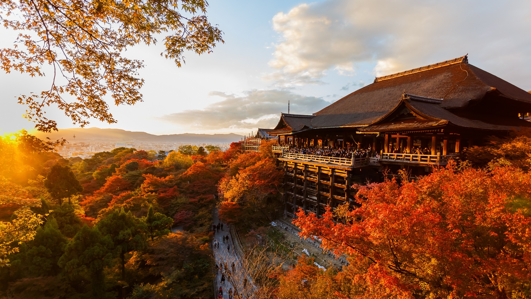 Kiyomizu-dera Temple immersed in colorful foliage in Kyoto, Japan.